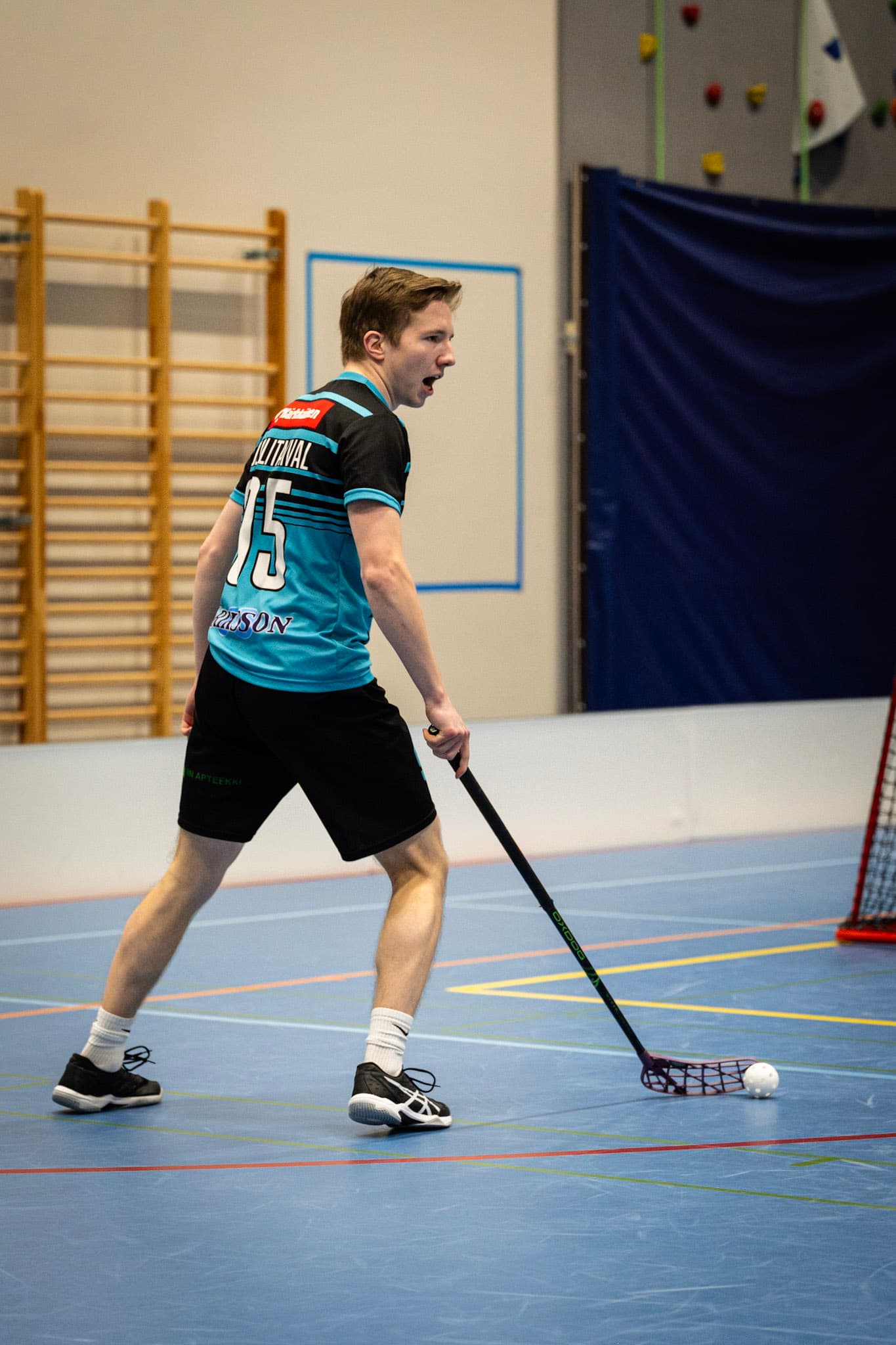 Alvar Puolitaival